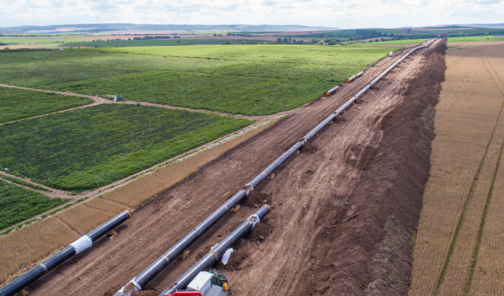 image 2026 03 18 182217382